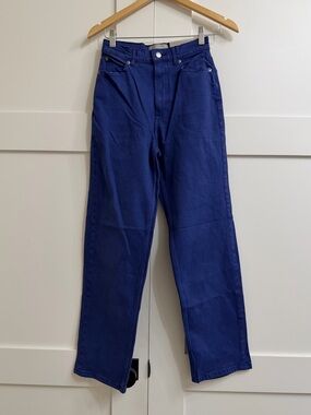 Everlane The Way High Jean in Archroma Deep Lapis, Size 25 Tall